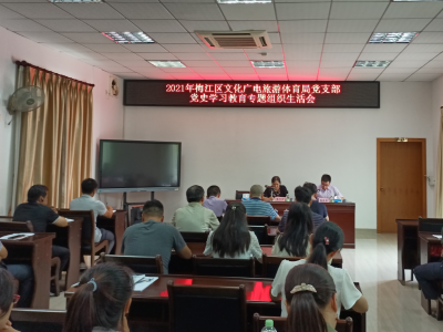 梅江区文化广电旅游体育局召开党史学习教育专题组织生活会