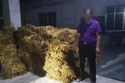 约10吨！蕉岭公安查获一批非法经营烟叶