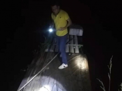 违法又破坏环境！这些人深夜“电鱼”被严惩