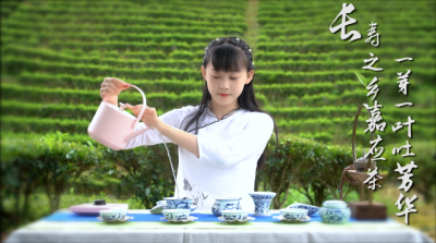 梅州V视丨长寿之乡嘉应茶，一芽一叶吐芳华！广东嘉应茶产业发展概况