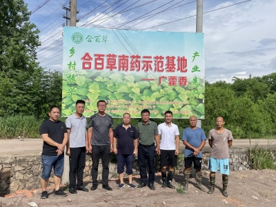 建基地、传技术...省农村科技特派员助力梅州南药、茶叶产业发展