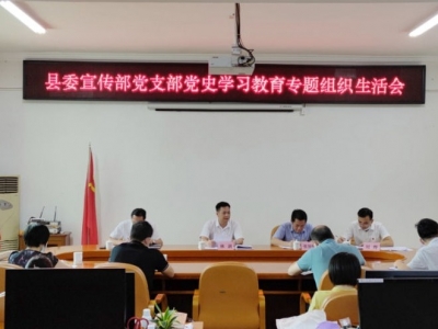 林剑到所在党支部参加党史学习教育专题组织生活会