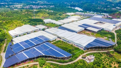 梅县区掀起“全民光伏”热，齐齐吸收“阳光效益”！