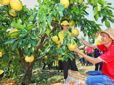 聚焦全会丨新一轮苏区振兴蹄疾步稳，“双统筹双胜利”稳中向好！