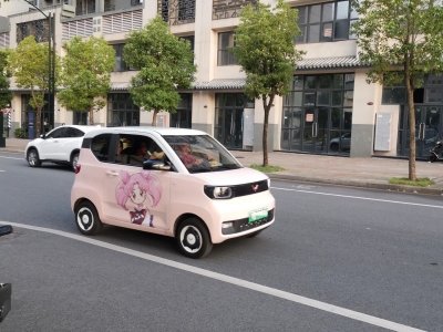 前7月梅州新增“绿牌车”800多辆同比增33.33%！梅州人越来越爱“电车”了