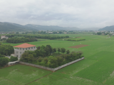 一镇一业、一村一品！蕉岭新铺：老百姓的日子越过越有盼头