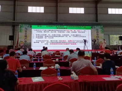 如何让农产品搭上“互联网+快车”？来看梅县区的这场培训会