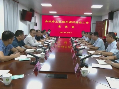 周小勇专题调研林业工作