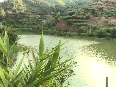 接续奋进！五华县龙村驻镇帮镇扶村工作队用“文化”魅力书写乡村振兴新篇章