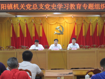 梅江区西阳镇召开党史学习教育专题组织生活会