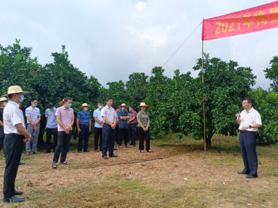 “柚”来了！梅县区这个推进会，让“致富果”更加“不愁卖”！