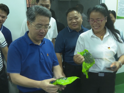 朱少辉到五华县梅林镇调研乡村振兴工作