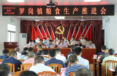 端牢饭碗，把握粮食安全主动权！兴宁市罗岗镇召开粮食生产推进会