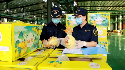 “柚来了”！梅州柚首次出口美国