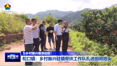 梅县区松口镇：乡村振兴驻镇帮扶工作队扎进田间地头