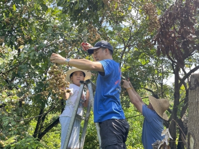 梅江周末·凌风