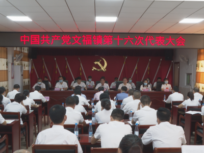 蕉岭县圆满完成八个镇党委换届工作