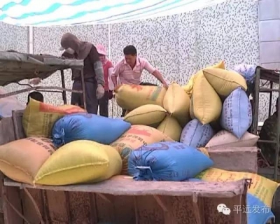 平远县夏粮颗粒归仓！今年收购成果如何？一起来关注