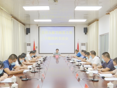 刘鸿涛参加所在党支部党史学习教育专题组织生活会并讲党课