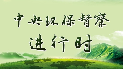 群众信访举报转办和边督边改公开情况一览表 (第29批2021年10月1日)