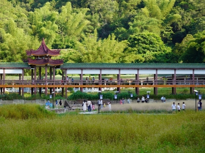 中秋假期去哪玩？梅江本地游、乡村游火了！