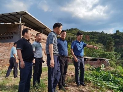 洪国华到水口镇检查督导中央生态环境保护督察组交办案件办理情况