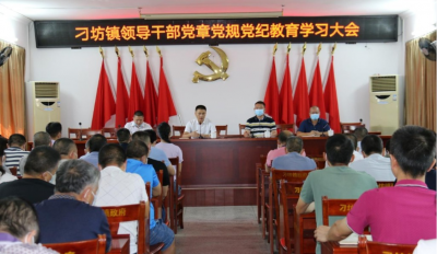 兴宁市刁坊镇推动纪律教育学习走深走实