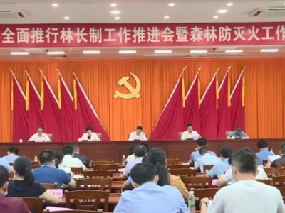 丰顺建立县、镇、村三级林长体系 抓好森林防灭火工作