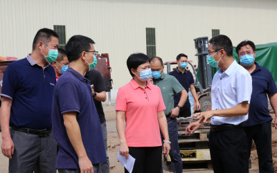 钟秀堂率队督导检查中央生态环境保护督察信访案件办理情况：打好“蓝天、碧水、净土”保卫战 筑牢振兴发展坚实屏障 