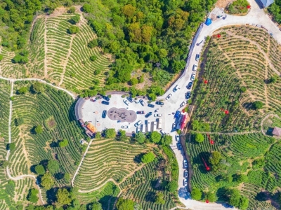 时评丨丰收的真谛，既是农业增产更是农民增收