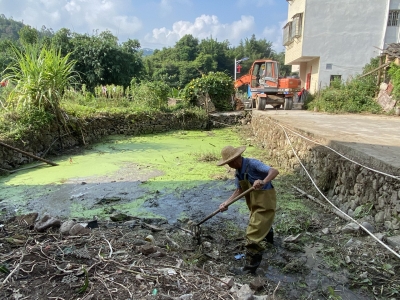 直面问题 真改实改！大埔迅速查办中央生态环境保护督察组交办信访举报案件