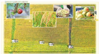 奋力绘就共同富裕的幸福图景！丰收节里话丰收，刘鸿涛向农民朋友送上祝福