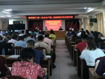 夯实安全生产基础！梅县区梅南镇举办安全知识培训班