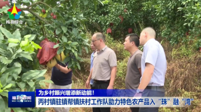 助力特色农产品入“珠”融“湾”！梅县区丙村镇驻镇帮镇扶村工作队这样做