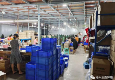 丰顺举一反三查办中央生态环境保护督察组交办信访举报问题