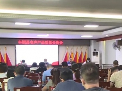 全面提升电声行业整体质量水平！丰顺县召开电声产品质量提升分析会