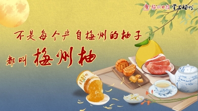 不是每个产自梅州的柚子都叫梅州柚！一图了解大埔蜜柚的“身世”→