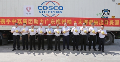 跨出国门！200多吨广东梅州柚·大埔蜜柚首次出口美国市场