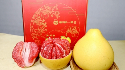 嘟嘟一号上线9天即售罄！梅州柚用实力说话
