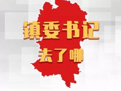 新时代新足迹——镇委书记去了哪 |平远各镇党委书记，这周在忙什么？