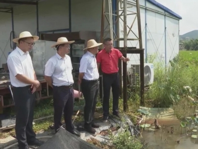 省农业农村厅一行到平远县开展调研工作