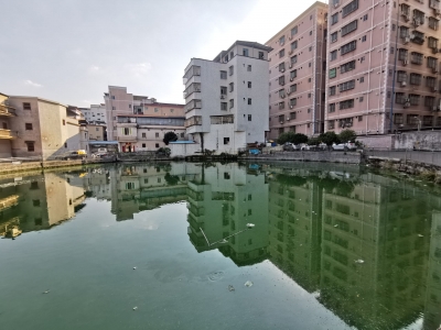 8月创建全国文明城市实地调查报告出炉！来看这些挂点单位的得分点和失分点都在哪