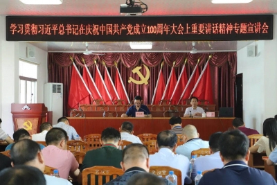 兴宁罗岗镇召开学习贯彻习近平总书记“七一”重要讲话精神专题宣讲会
