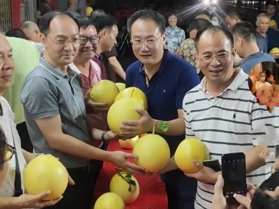 “柚”来汕头分外香！3000斤兴宁径南“黄金柚”被一“抢”而空
