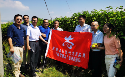 我为群众办实事丨蕉岭：开展“三下乡” 助力乡村振兴