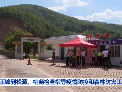 王锋到梅县松源、桃尧检查指导疫情防控和森林防火工作