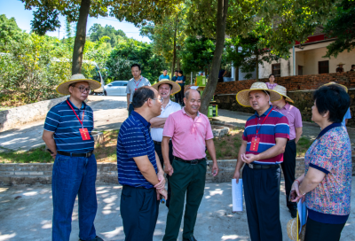 陈志宁到兴宁开展梅州市政协重点提案督办调研工作：发展油茶产业 促进兴工富农