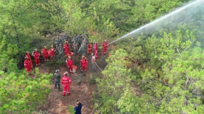 50多人模拟实战！梅县南口镇森林防火应急演练，筑牢绿色“防火墙”