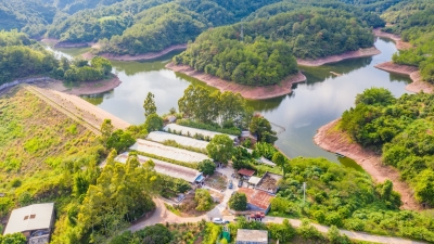 立行立改！梅州全力推进农业面源污染防治，守护生态防线