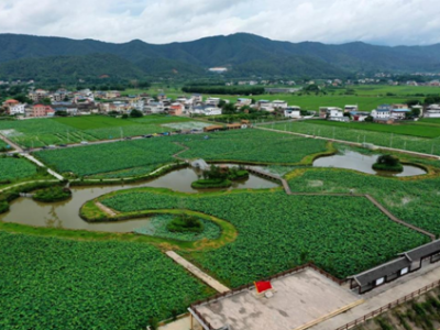 颜值与文化并重，梅州新兴打卡点你去了吗？